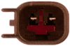 Bosch EV6 Male Connector Bosch EV6 Male Connector : Fuel Injector Connectors